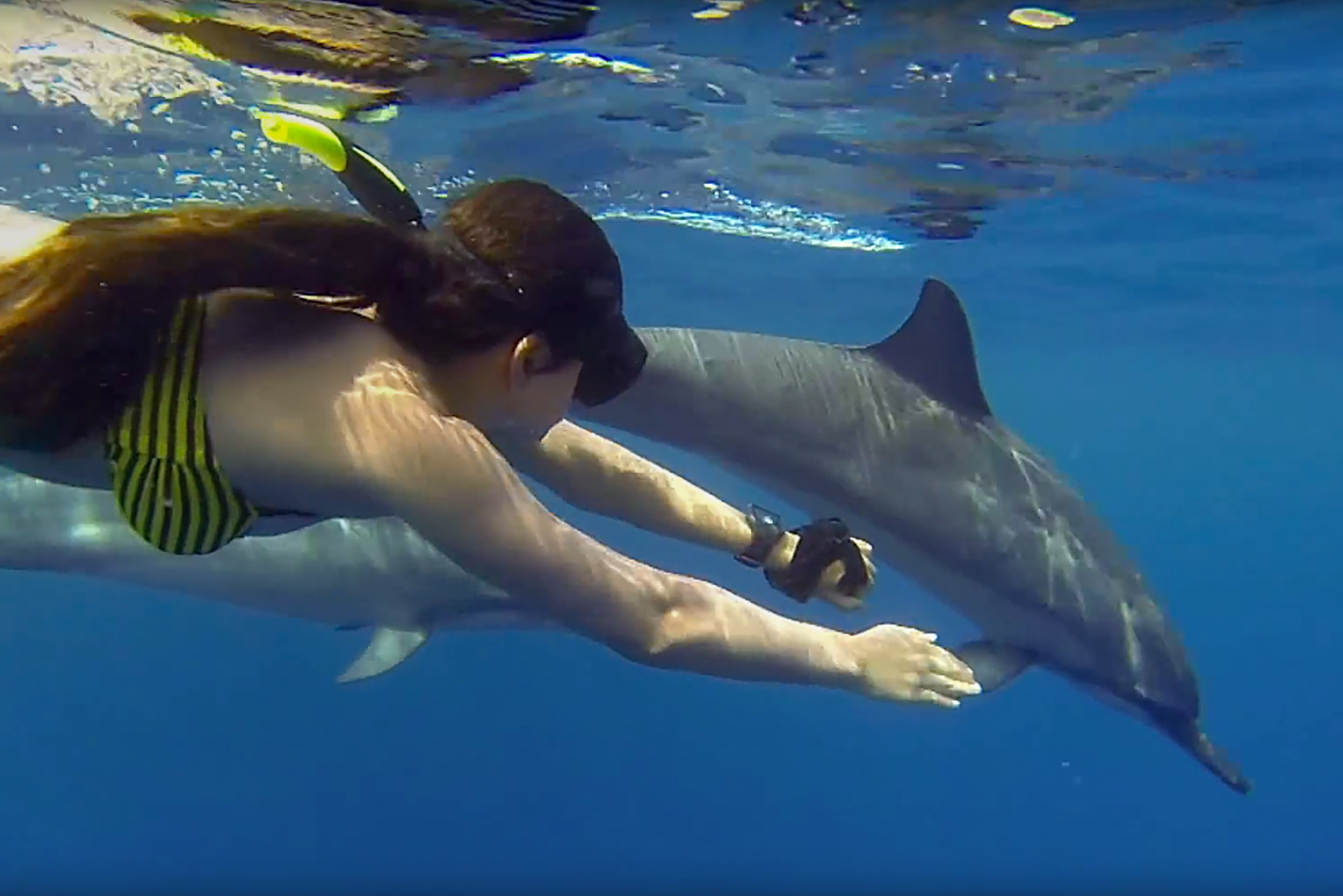 Swimming with Dolphins in Zanzibar | Book Online!