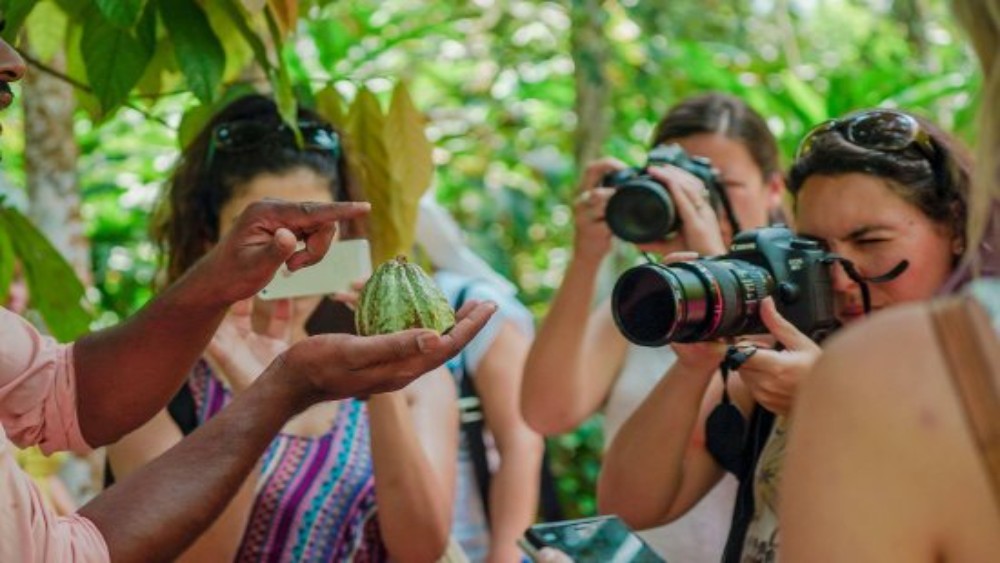 tourists on spice farm