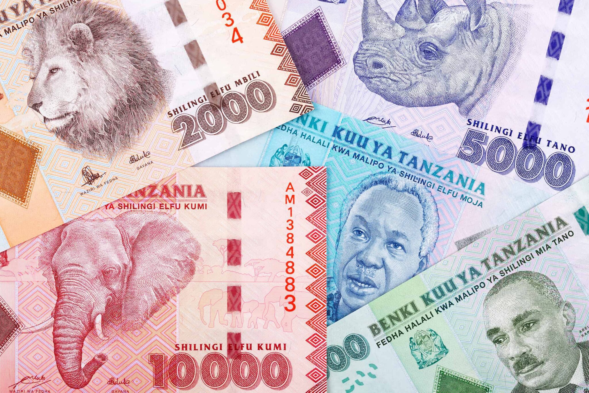 Currency in Zanzibar | A guide to Tanzania Shillings (TZS)