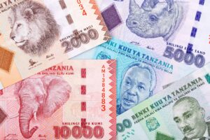 notes of tanzania shillings