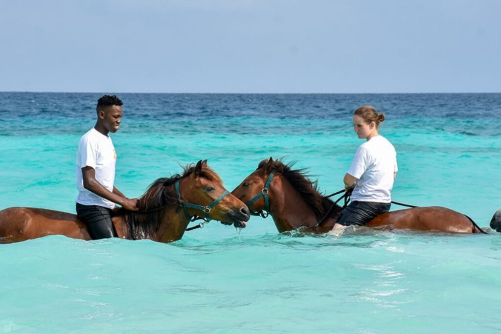 zanzibar horse safari