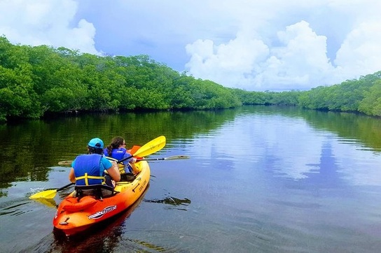 zanzibar mangrove tour