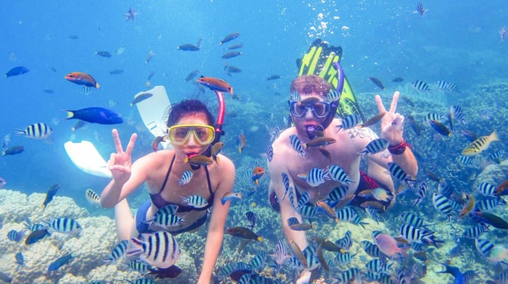 Snorkeling in Zanzibar blue lagoon
