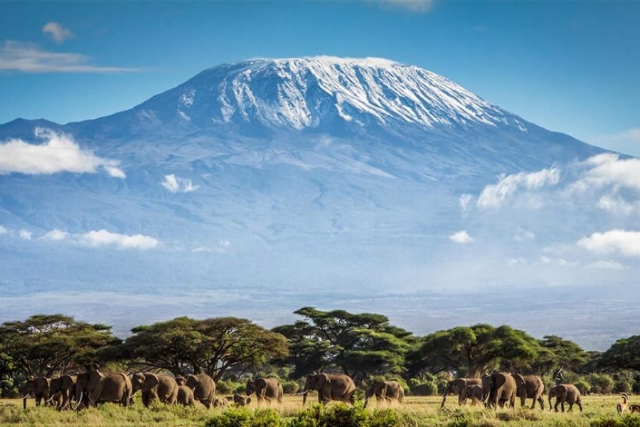 Climb Mount Kilimanjaro