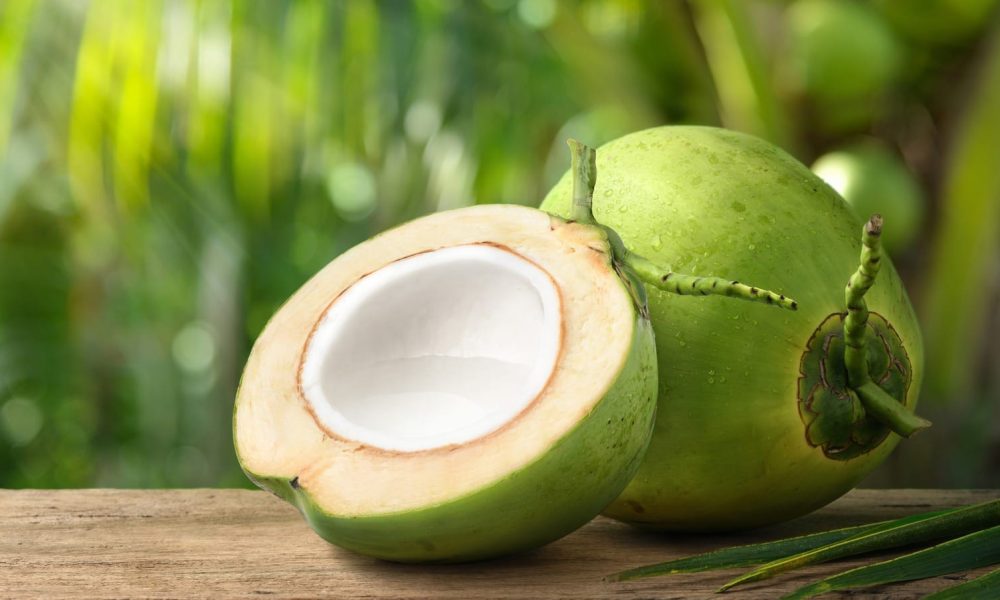Coconut