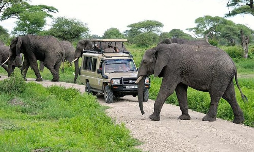 Tarangire National Park