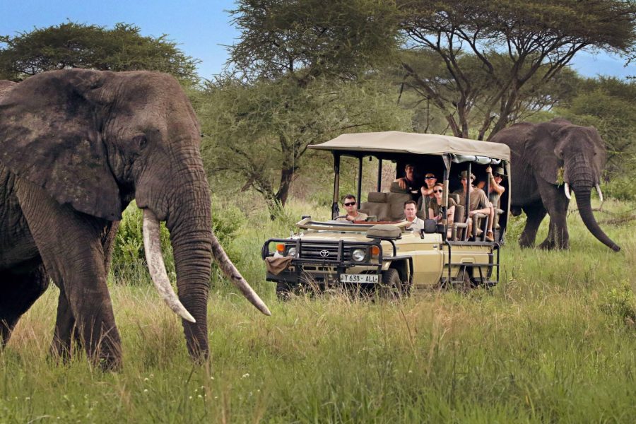 How Many Days Do You Need For a Tanzania Safari