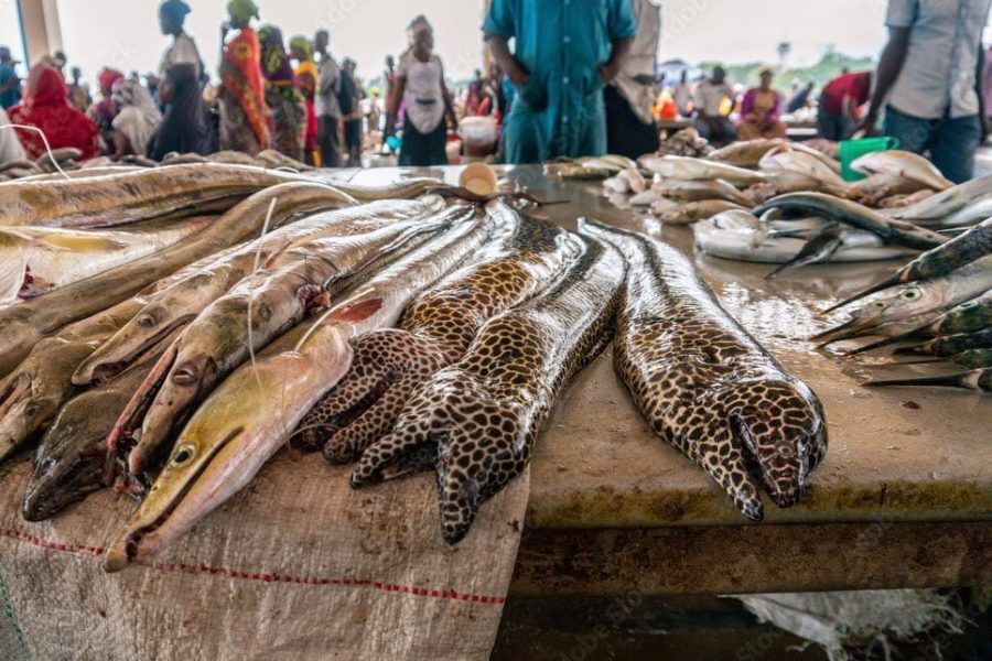 Kivukoni Fish Market