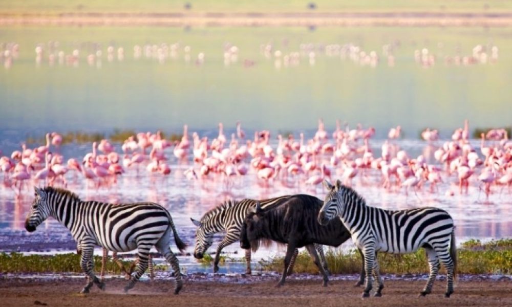 Lake Manyara