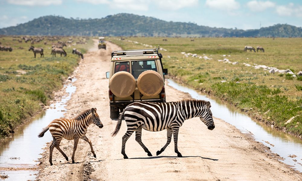 Safari-in-Serengeti-National-Park-Tanzania