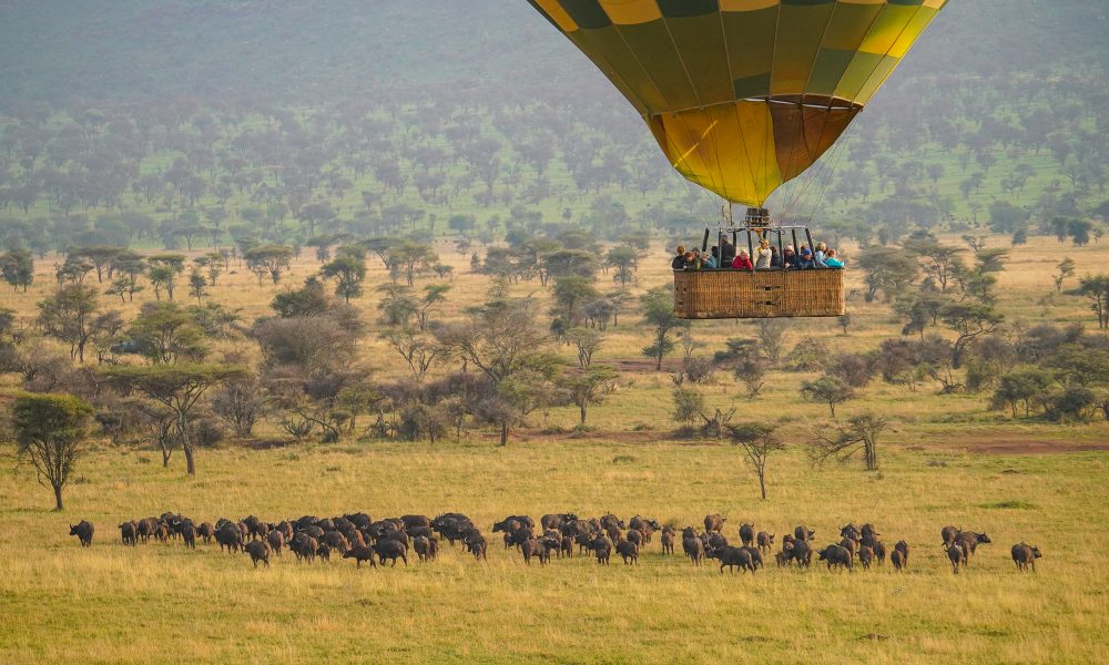 Serengeti-balloon