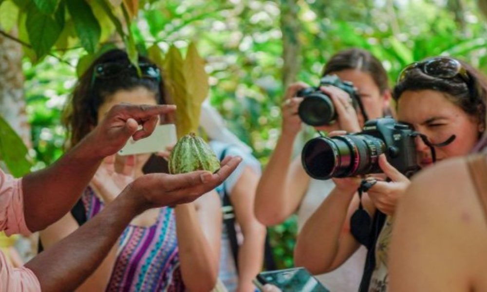 tourists on spice farm