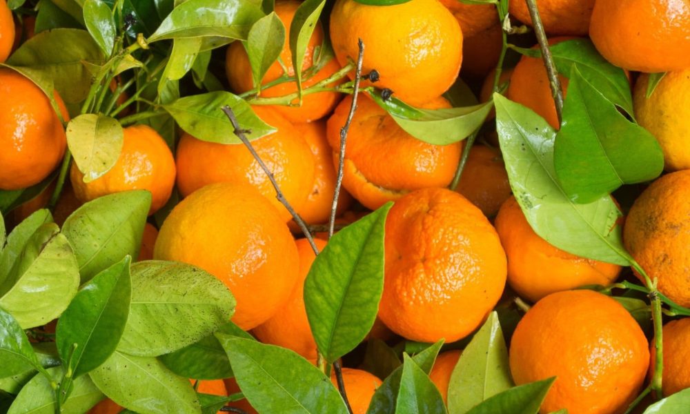 Tangerine