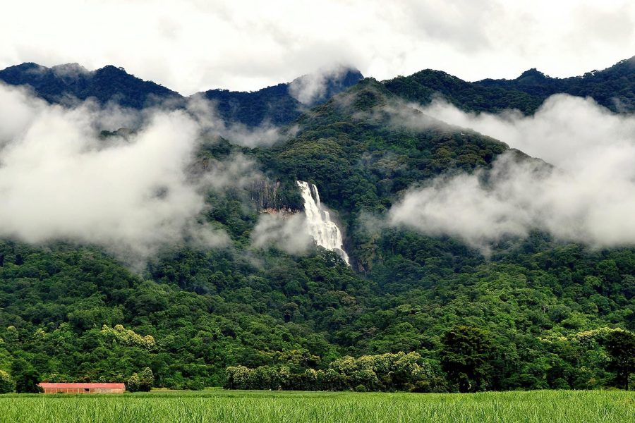 Udzungwa Mountains