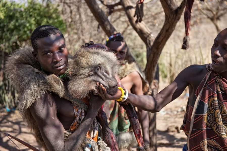 hadzabe tribe