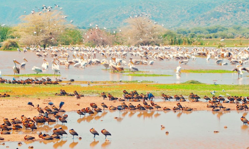 lake-manyara-national-park