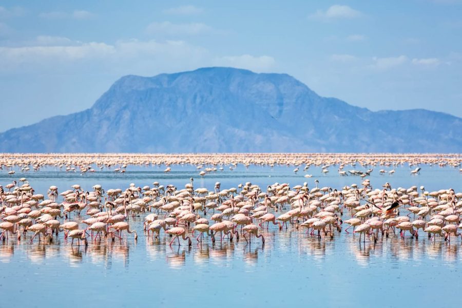 lake natron