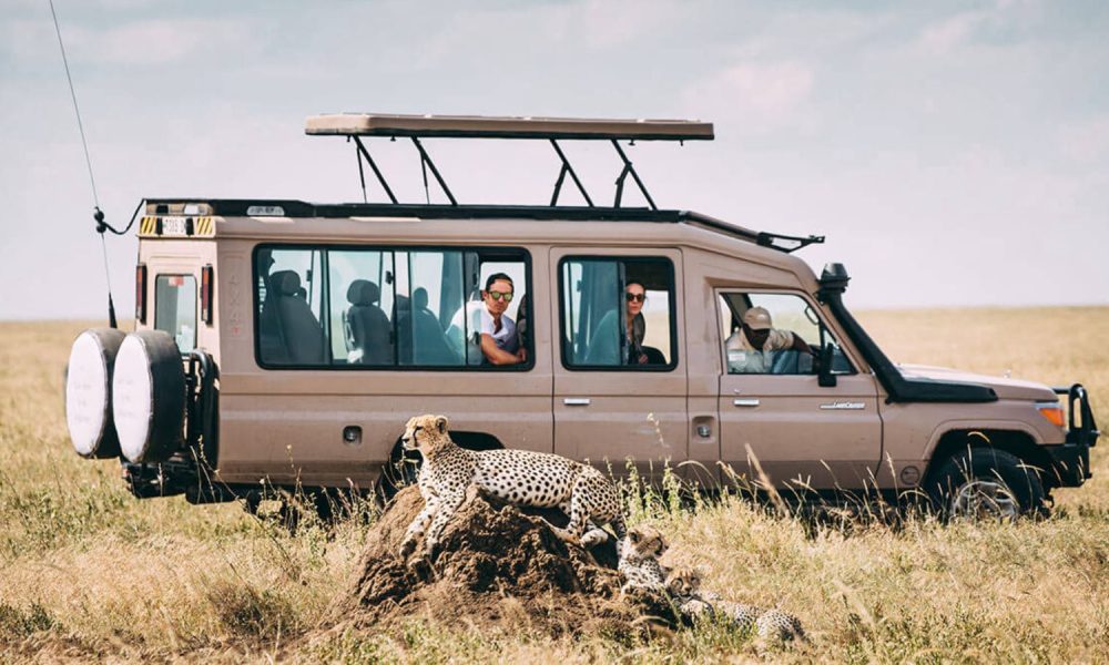 tanzania safaris from zanzibar