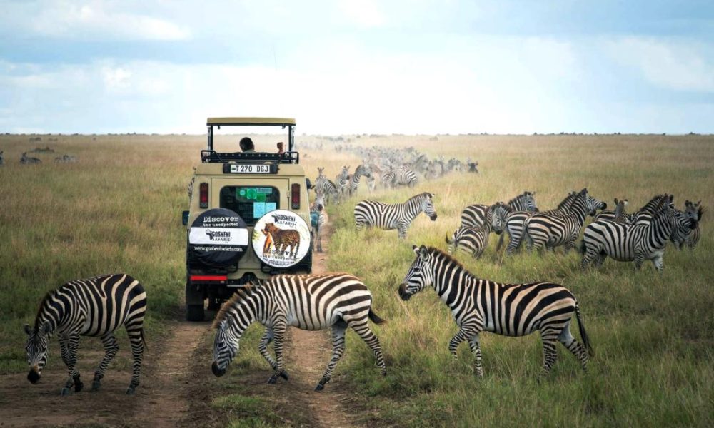 ngorongoro 1