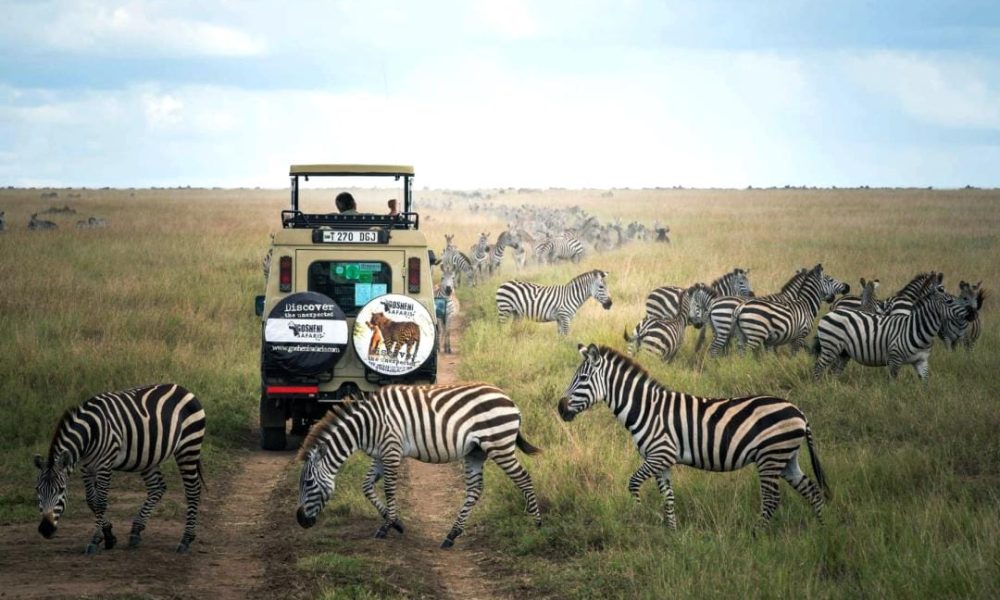 ngorongoro 1