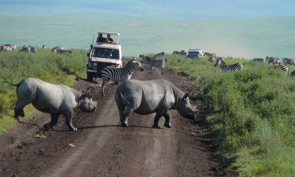 ngorongoro-crater-day-trip