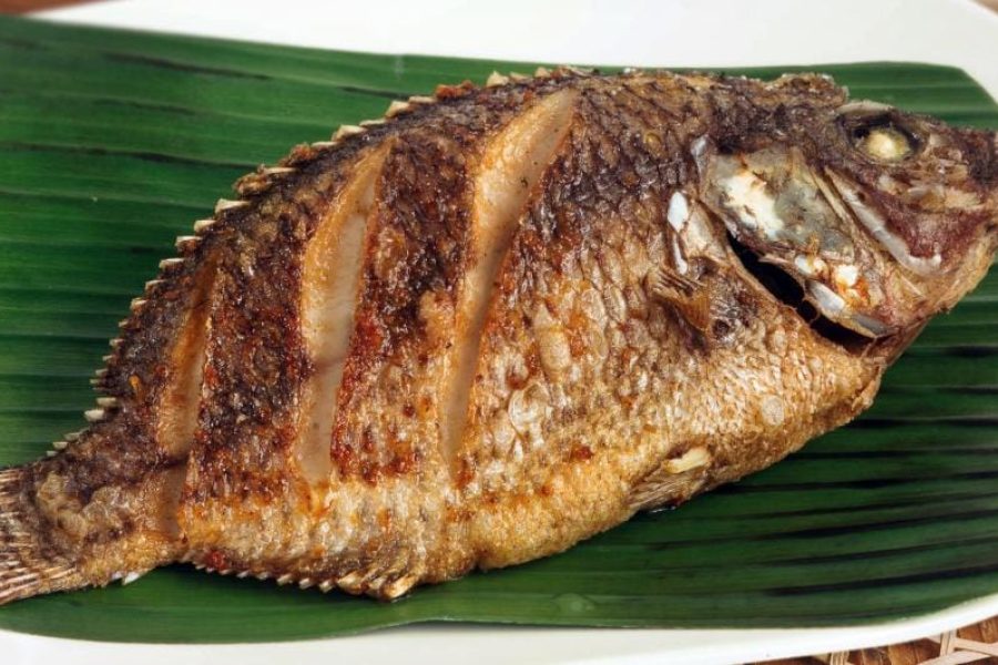 sato