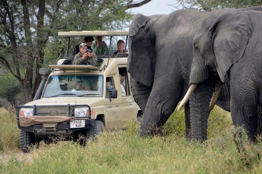 tarangire-national-park-day-trip tarangire-national-park-day-trip