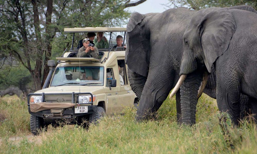 tarangire-national-park-day-trip